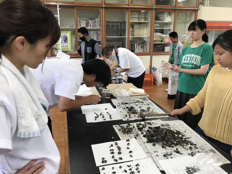 image_50738177
