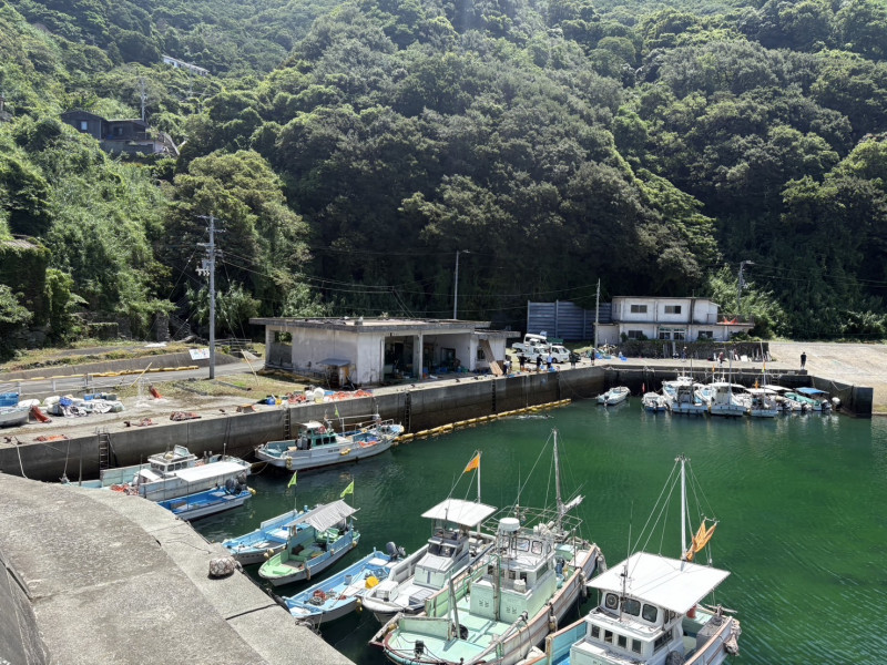 image7 (1)
