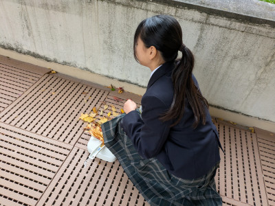 PXL_20251127_234839325