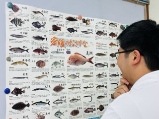 お魚ポスター