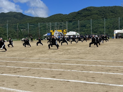 白応援